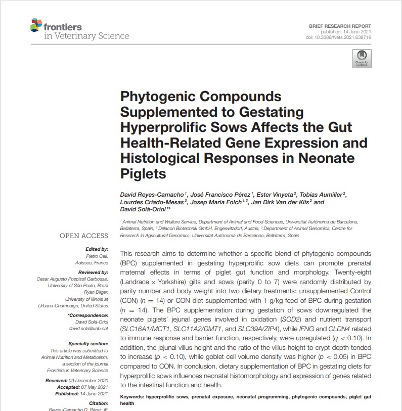 Phytogenic Compounds Supplemented to Gestating Hyperprolific Sows Affects the Gut Health-Related Gene Expression and Histological Responses in Neonate Piglets